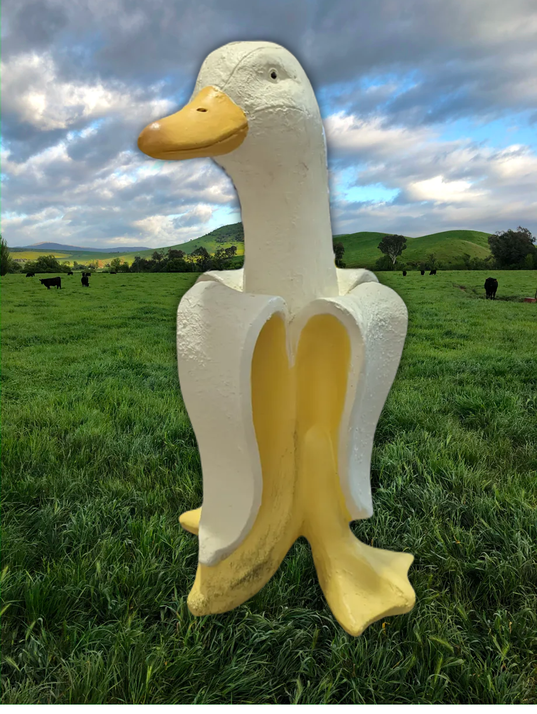A Banana Duck Statue out in the wild!